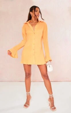 Robe Chemise Plissée Mandarine à Manches Flare -Pas Cher Tendance Charme Magasin 33142aae2755fdb3463453e0863d44db32664981 cnd8940 3